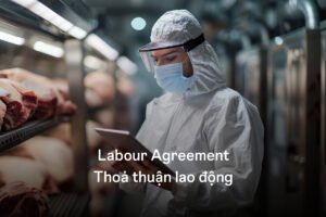 labour Agreement