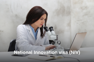 National innovation visa (NIV)